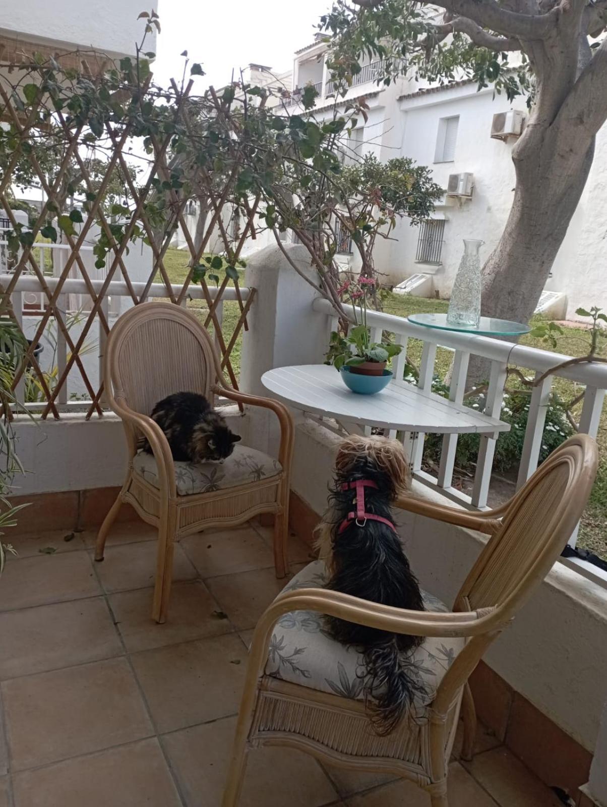 Apartamento Laguna Beach Torrox Costa エクステリア 写真